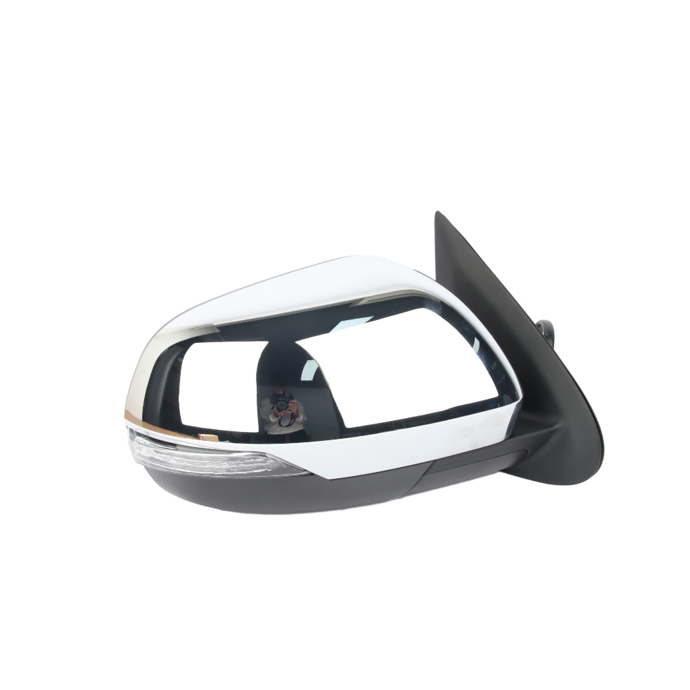 DOOR MIRROR