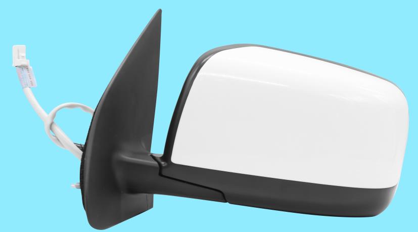 DOOR MIRROR