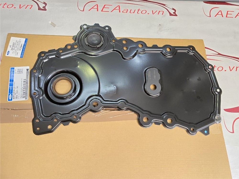 TIMING CHAIN CASE
