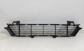 RADIATOR GRILLE