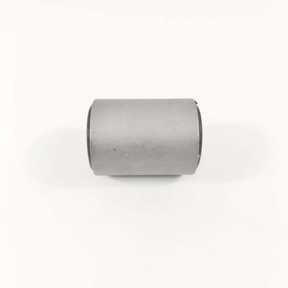 RUBBER -BUSH