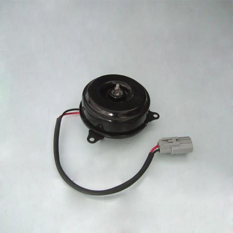 FAN MOTOR