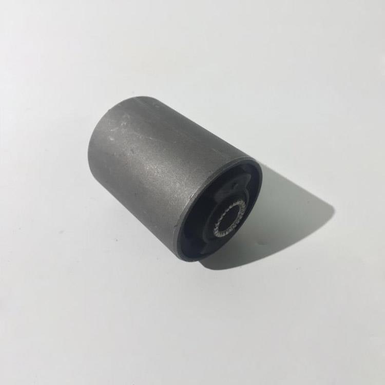 RUBBER -BUSH