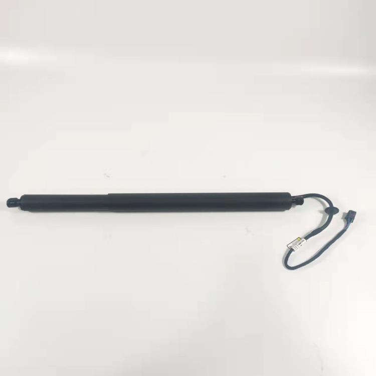 GATE ASSY-POWER TAIL