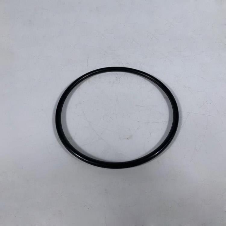 RING-O FUEL PUMP
