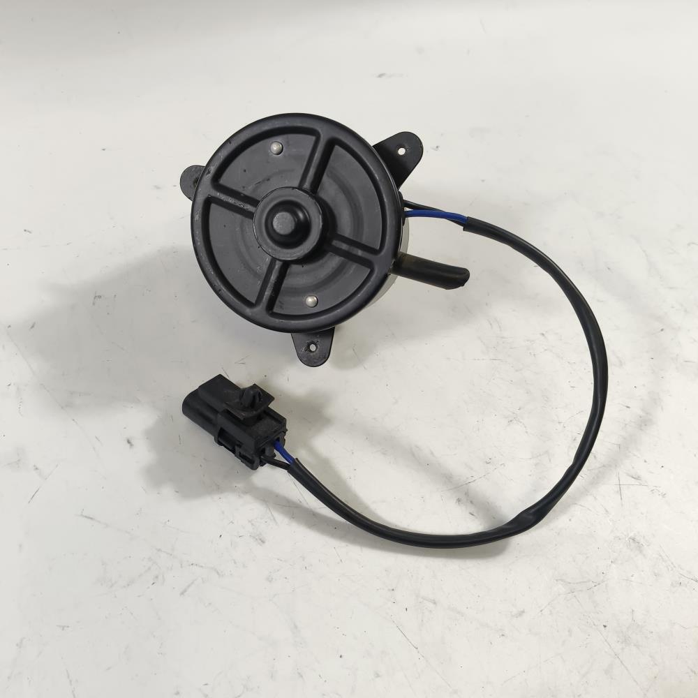 FAN MOTOR
