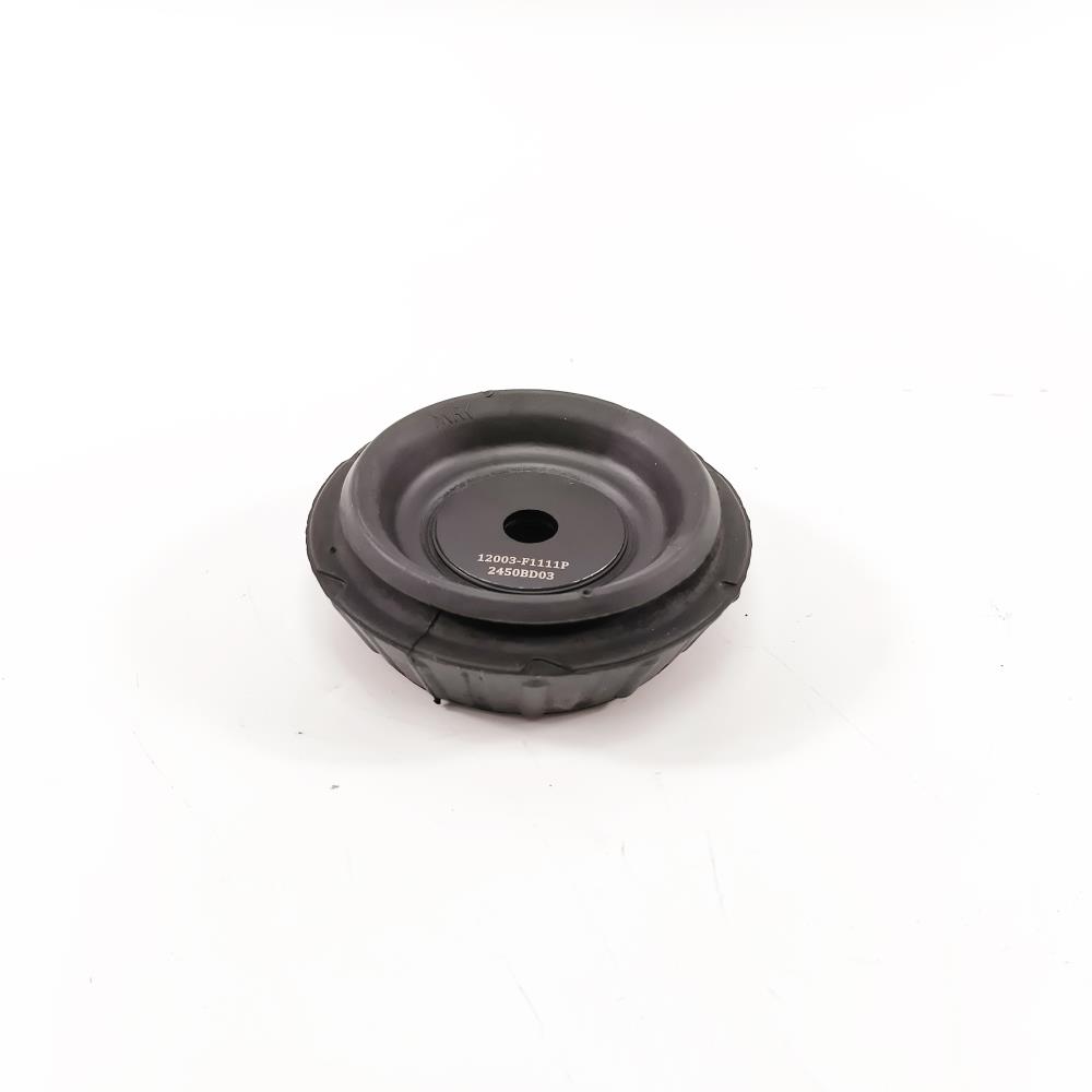 STRUT MOUNT