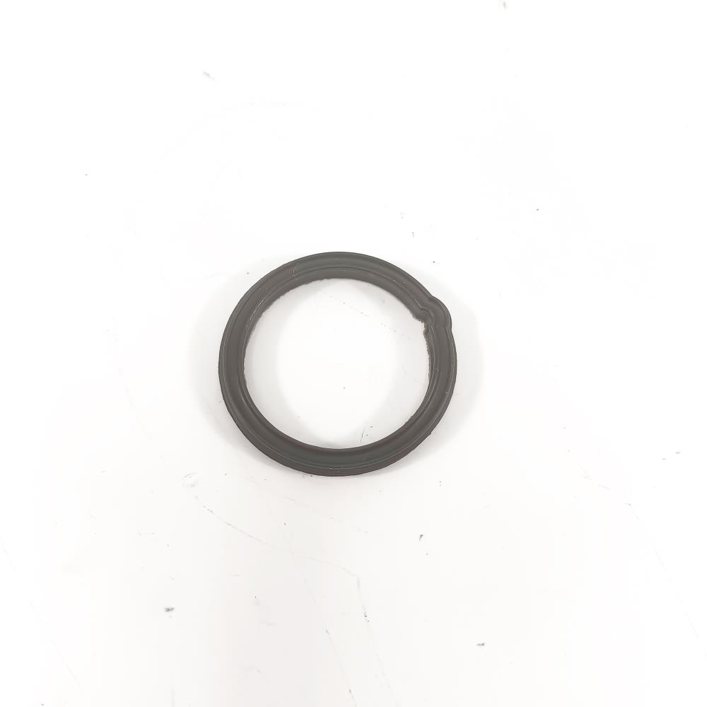 RING THERMOSTAT