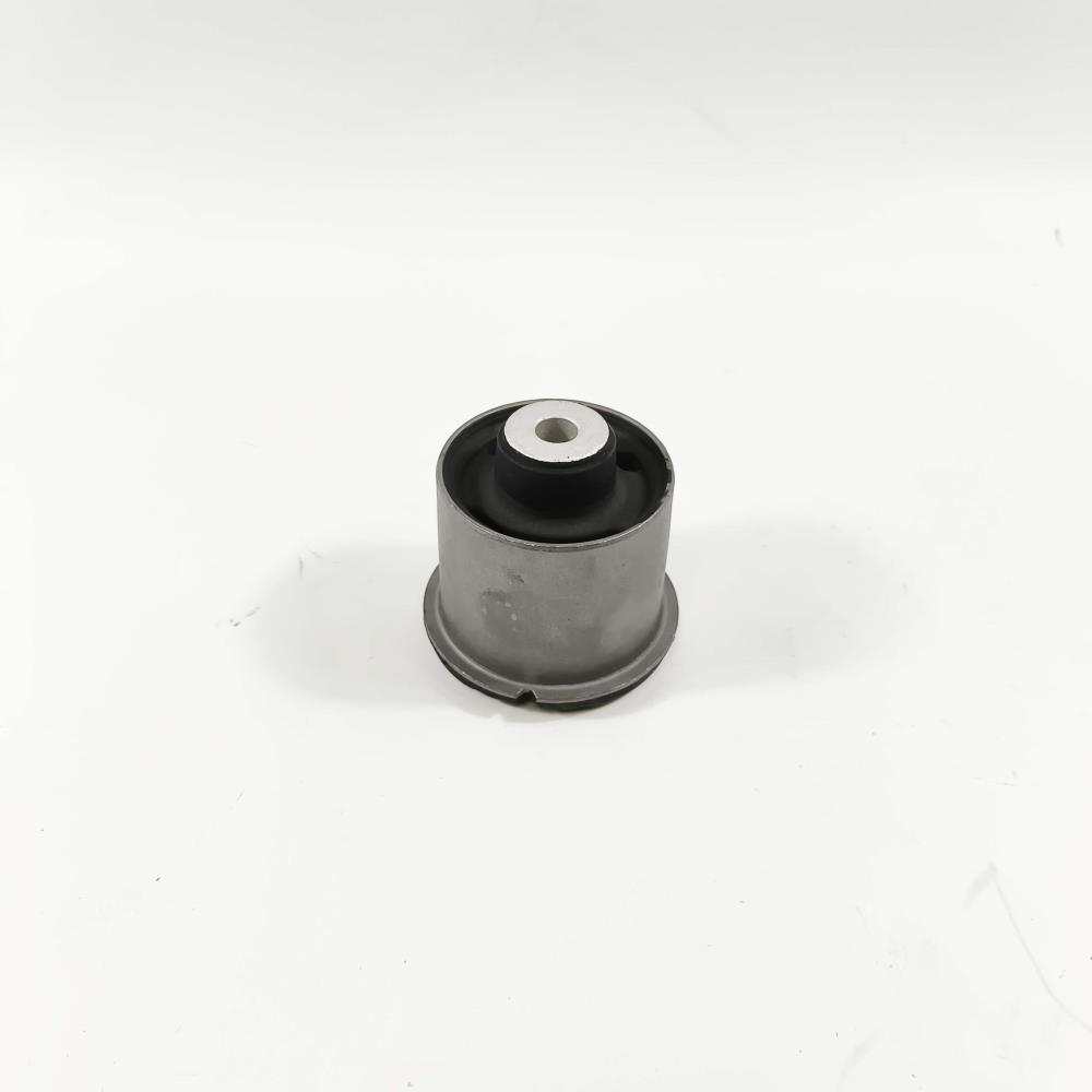 BUSH-AXLE RR