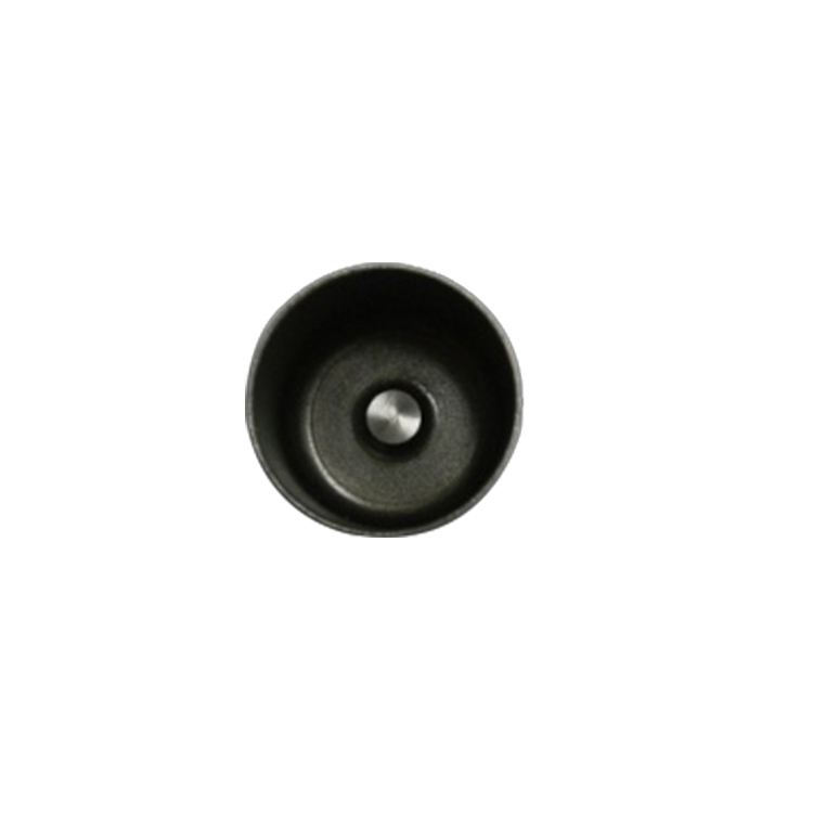 VALVE LIFTER