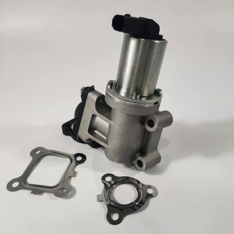 VALVE ASSY-EGR