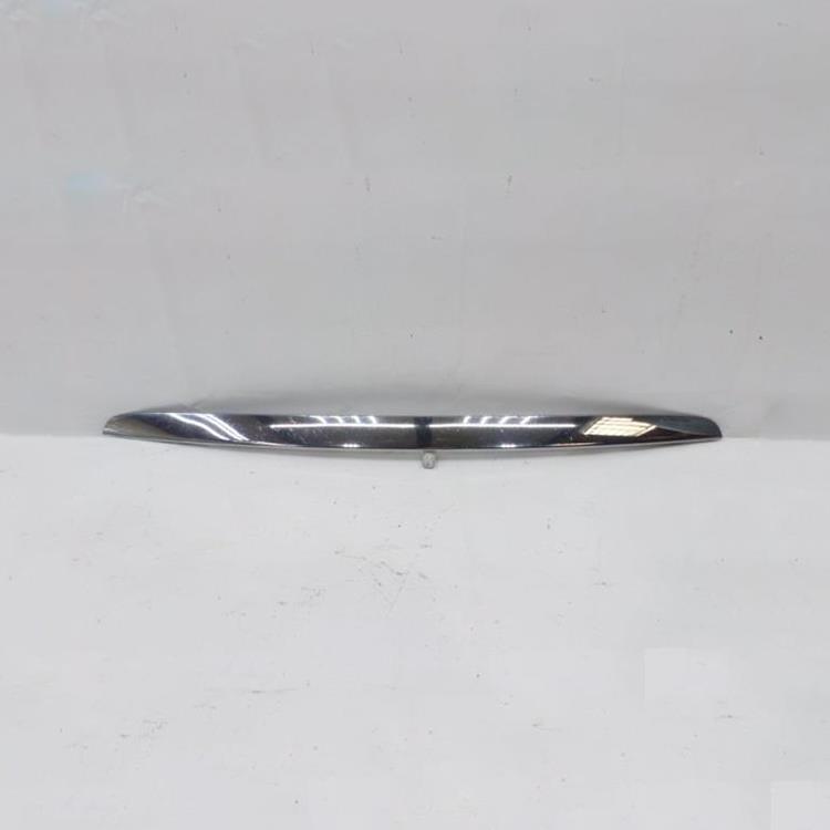 STRIP - RADIATOR GRILLE