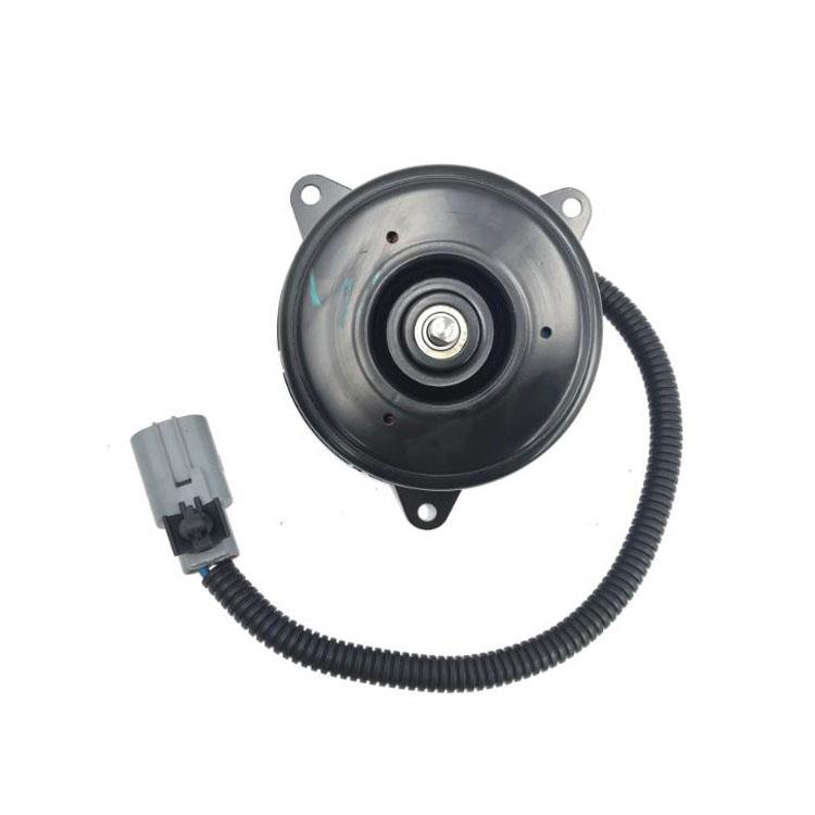 FAN MOTOR