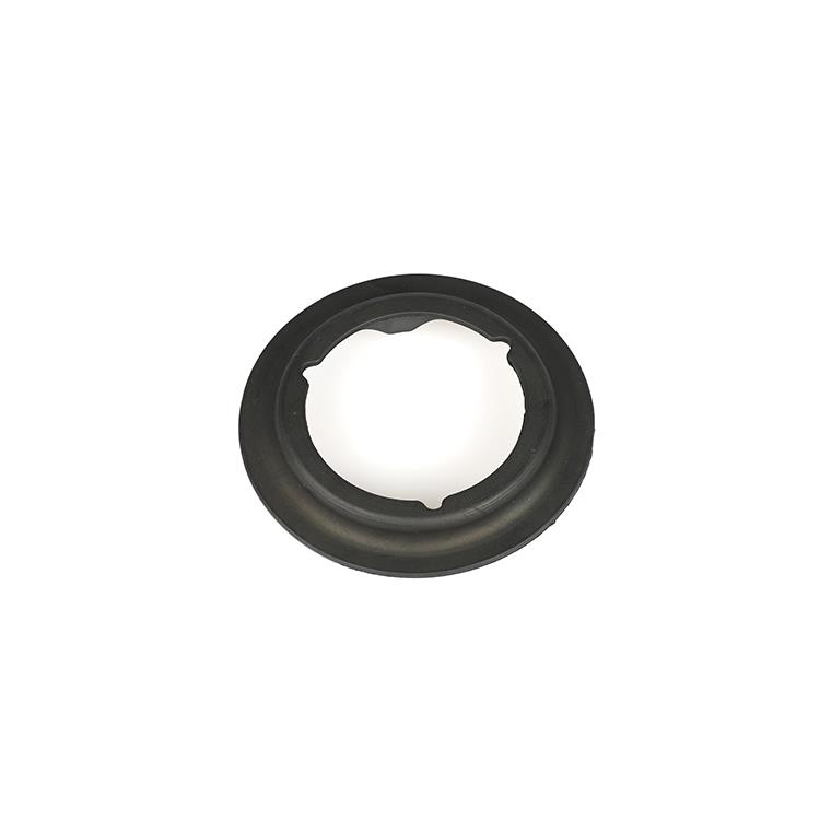 INSULATOR-SRPING