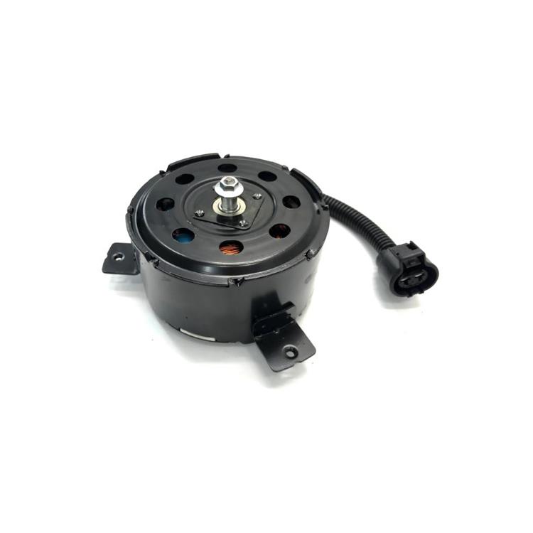 FAN MOTOR